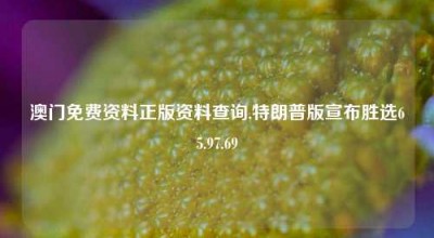 澳门免费资料正版资料查询,特朗普版宣布胜选65.97.69