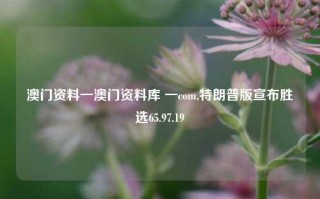 澳门资料一澳门资料库 一com,特朗普版宣布胜选65.97.19