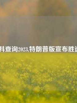 澳门资料查询2023,特朗普版宣布胜选65.97.67