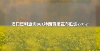 澳门资料查询2023,特朗普版宣布胜选65.97.67