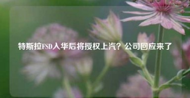 特斯拉FSD入华后将授权上汽？公司回应来了