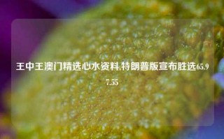 王中王澳门精选心水资料,特朗普版宣布胜选65.97.55