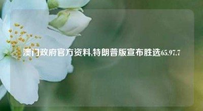 澳门政府官方资料,特朗普版宣布胜选65.97.7