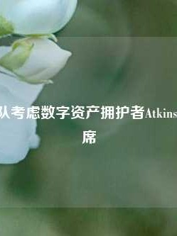 特朗普团队考虑数字资产拥护者Atkins出任SEC主席