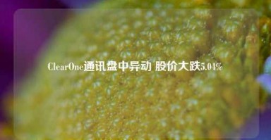 ClearOne通讯盘中异动 股价大跌5.04%