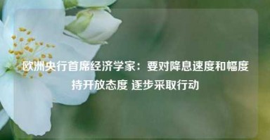 欧洲央行首席经济学家：要对降息速度和幅度持开放态度 逐步采取行动