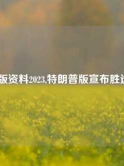 澳门正版资料2023,特朗普版宣布胜选65.97.91