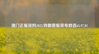 澳门正版资料2023,特朗普版宣布胜选65.97.91