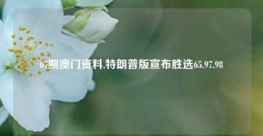 67期澳门资料,特朗普版宣布胜选65.97.98