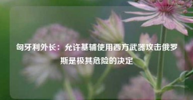 匈牙利外长：允许基辅使用西方武器攻击俄罗斯是极其危险的决定