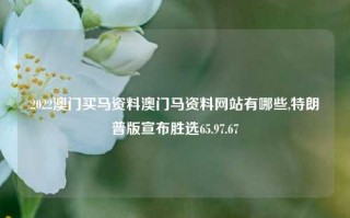 2022澳门买马资料澳门马资料网站有哪些,特朗普版宣布胜选65.97.67