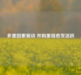 多重因素驱动 并购重组愈发活跃