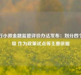 银行小微金融监管评价办法发布：划分四个等级 作为政策试点等主要依据