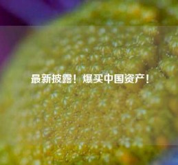 最新披露！爆买中国资产！