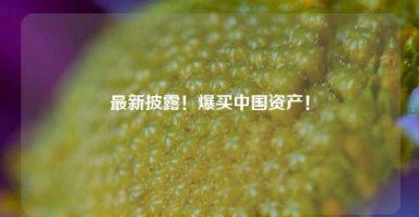 最新披露！爆买中国资产！