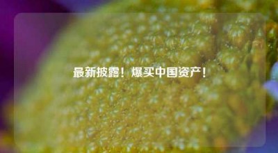 最新披露！爆买中国资产！