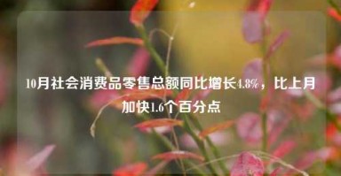 10月社会消费品零售总额同比增长4.8%，比上月加快1.6个百分点