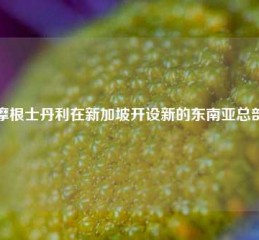 摩根士丹利在新加坡开设新的东南亚总部