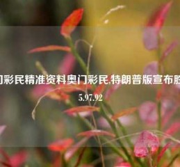 澳门彩民精准资料奥门彩民,特朗普版宣布胜选65.97.92