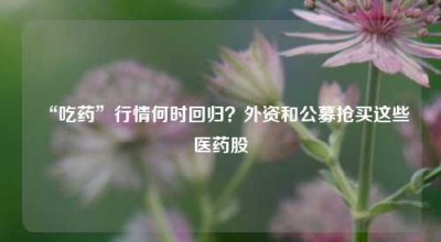 “吃药”行情何时回归？外资和公募抢买这些医药股