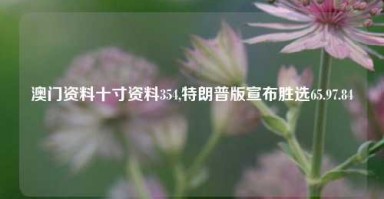 澳门资料十寸资料354,特朗普版宣布胜选65.97.84