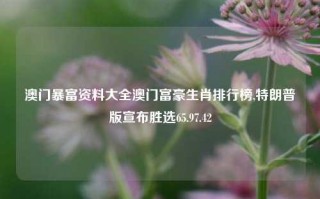 澳门暴富资料大全澳门富豪生肖排行榜,特朗普版宣布胜选65.97.42