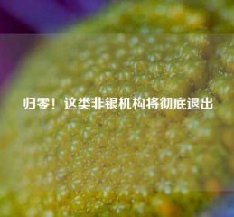 归零！这类非银机构将彻底退出