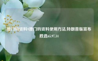 澳门码资料9澳门码资料使用方法,特朗普版宣布胜选65.97.34