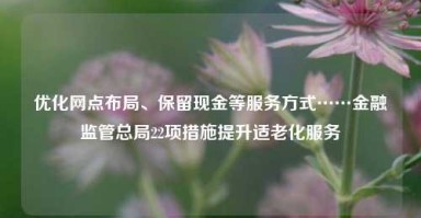 优化网点布局、保留现金等服务方式……金融监管总局22项措施提升适老化服务