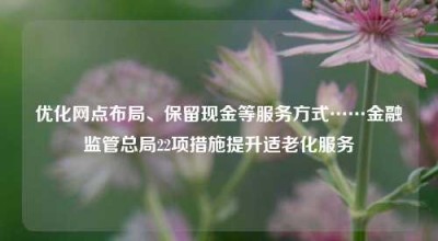 优化网点布局、保留现金等服务方式……金融监管总局22项措施提升适老化服务