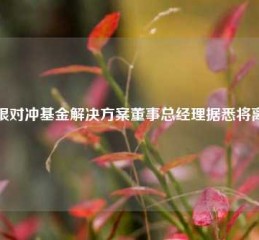 瑞银对冲基金解决方案董事总经理据悉将离职