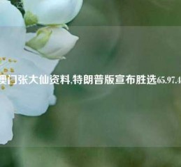 澳门张大仙资料,特朗普版宣布胜选65.97.46