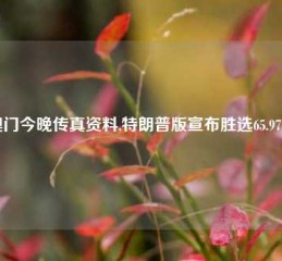 澳门今晚传真资料,特朗普版宣布胜选65.97.65