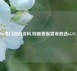 1999澳门回归资料,特朗普版宣布胜选65.97.14