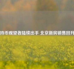 持币观望者陆续出手 北京新房销售回升