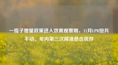 一揽子增量政策进入效果观察期，11月LPR按兵不动、年内第三次降准悬念犹存