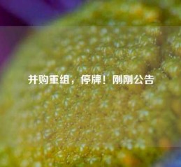 并购重组，停牌！刚刚公告