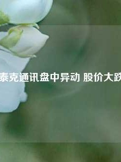 康姆泰克通讯盘中异动 股价大跌5.17%