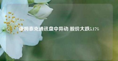 康姆泰克通讯盘中异动 股价大跌5.17%