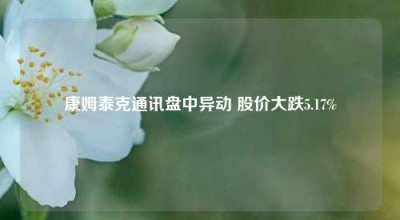 康姆泰克通讯盘中异动 股价大跌5.17%