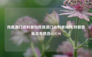 传真澳门资料查询传真澳门资料查询网,特朗普版宣布胜选65.97.96