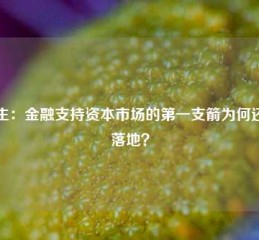 华生：金融支持资本市场的第一支箭为何还没落地？