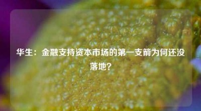 华生：金融支持资本市场的第一支箭为何还没落地？