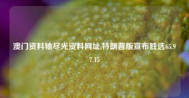 澳门资料输尽光资料网址,特朗普版宣布胜选65.97.15