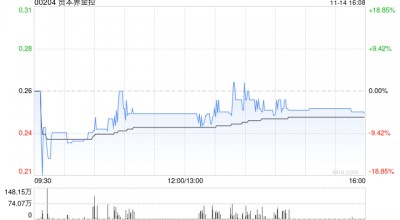 资本界金控完成配售1.73亿股 净筹约3980万港元