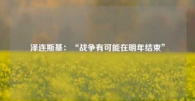 泽连斯基：“战争有可能在明年结束”