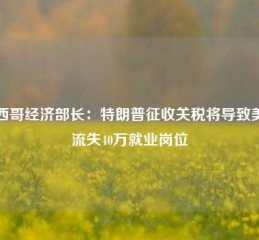 墨西哥经济部长：特朗普征收关税将导致美国流失40万就业岗位