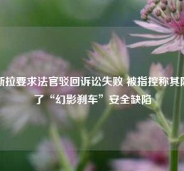 特斯拉要求法官驳回诉讼失败 被指控称其隐瞒了“幻影刹车”安全缺陷