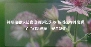 特斯拉要求法官驳回诉讼失败 被指控称其隐瞒了“幻影刹车”安全缺陷