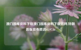 澳门国库资料下载澳门国库资料下载官网,特朗普版宣布胜选65.97.86